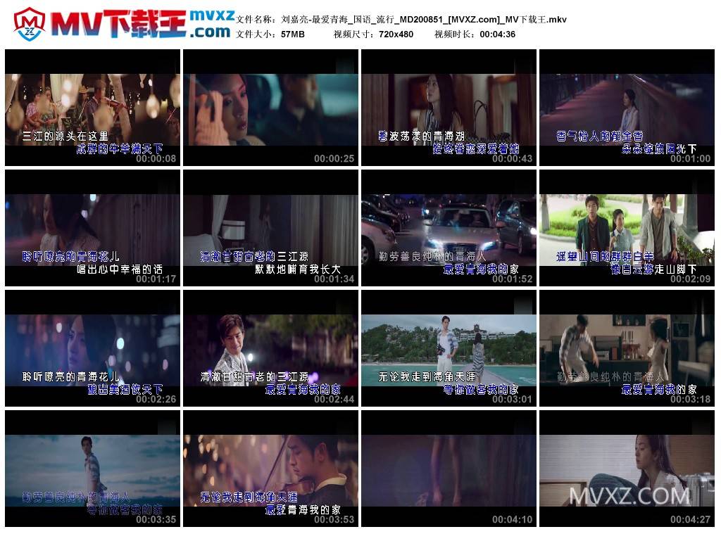 刘嘉亮-最爱青海_国语_流行_MD200851